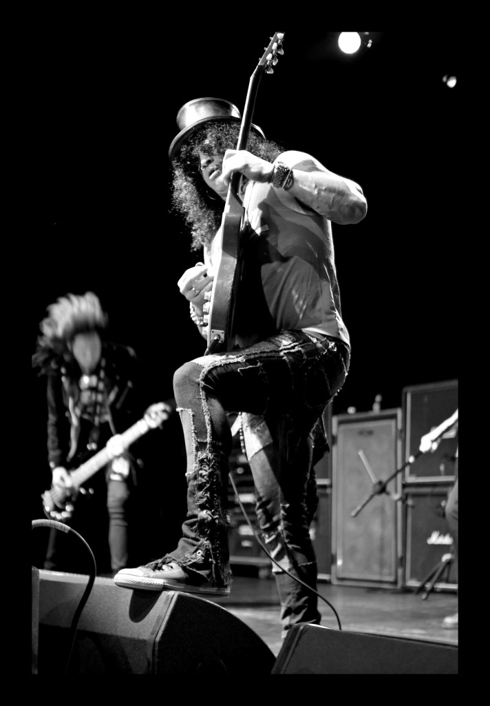 Portfolio of Live Music Photography by Randy Gladman